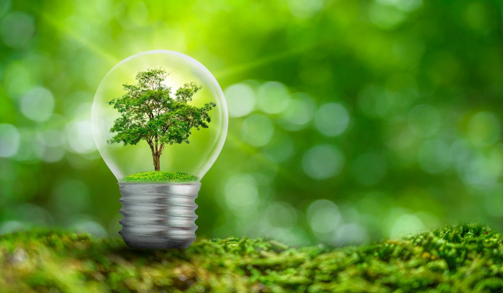 D (energy efficiency 2021)
