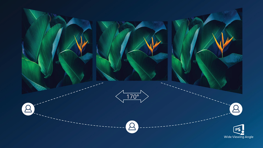 IPS LED wide view technology for image and color accuracy