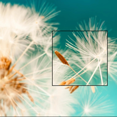 <b>FHD Resolution</b>