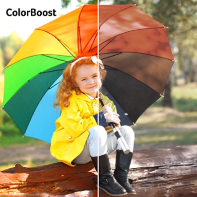 <b>Acer ColorBoost3D</b>
