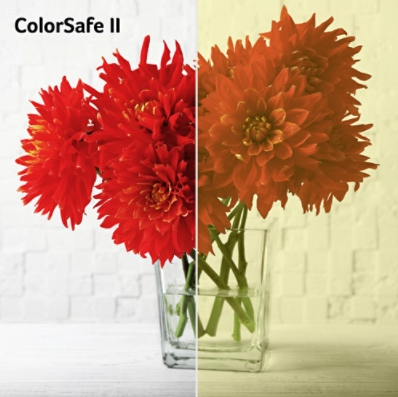 <b>Acer ColorSafe II</b>