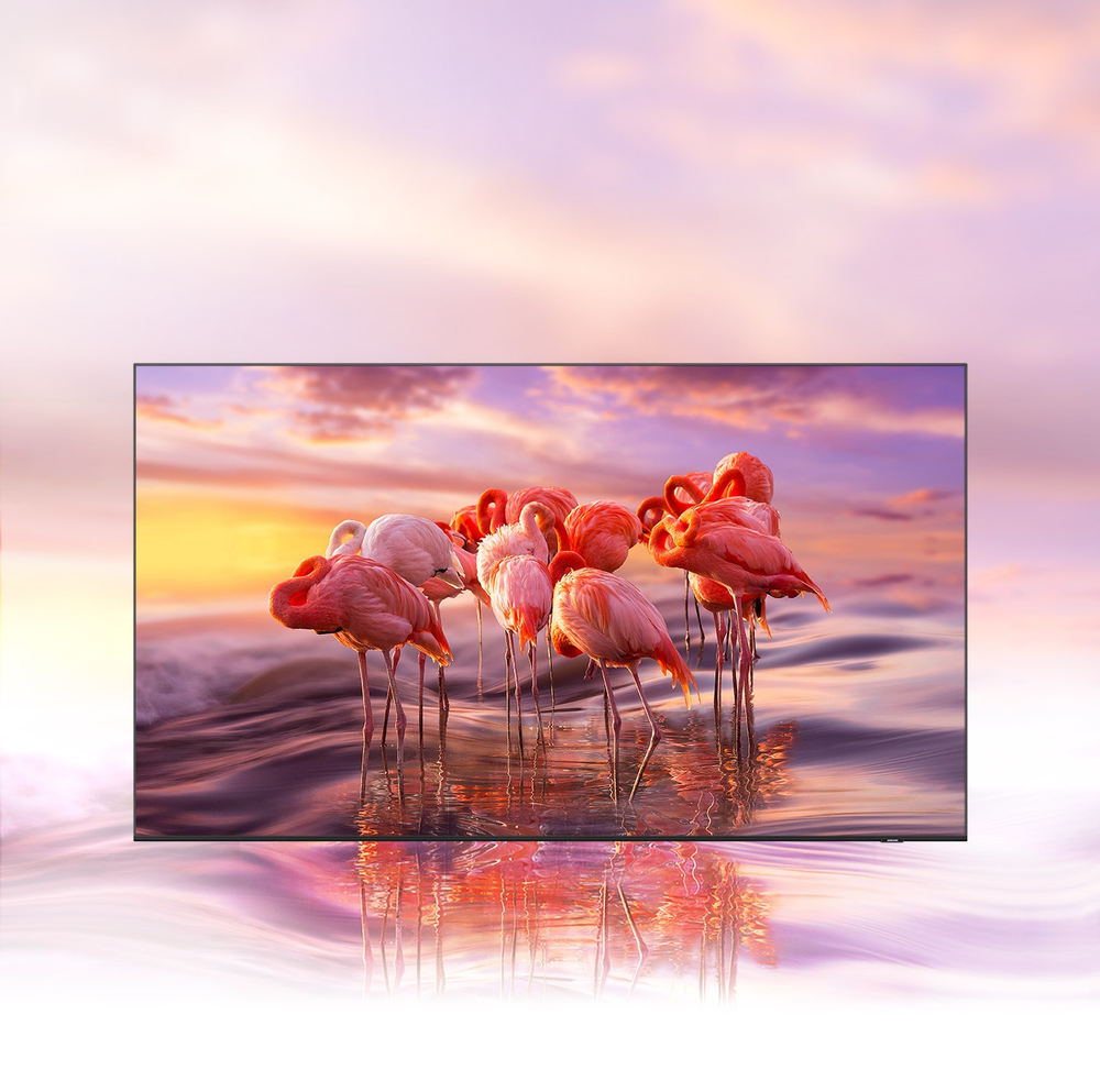 De meest pure kleuren voor het helderste beeld
