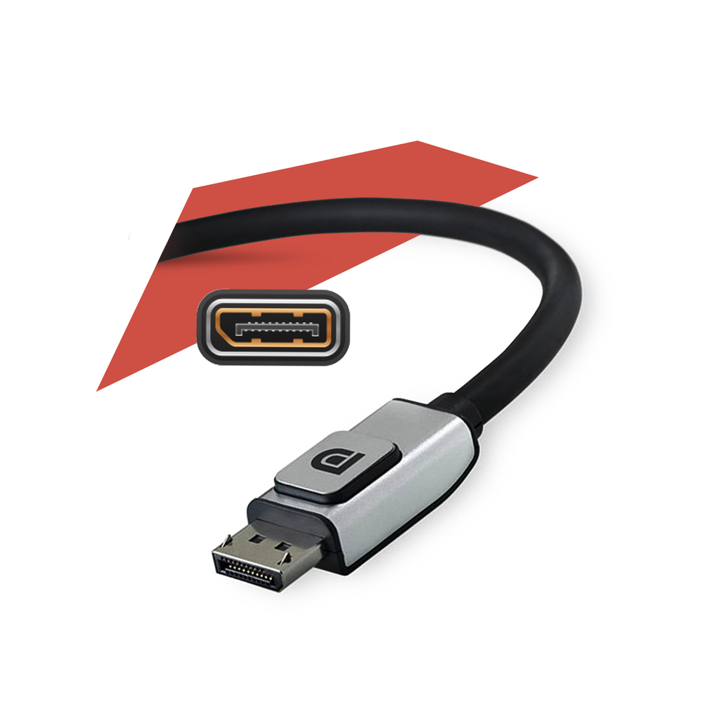 Display Port