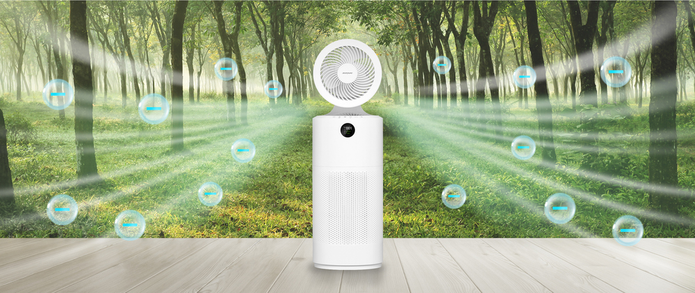 <b>10 Million Negative Ions: Effective Purification</b>