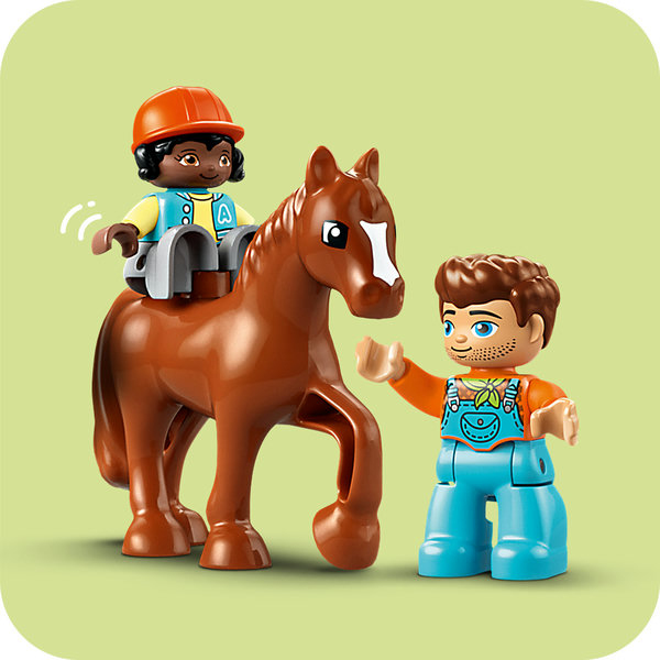 Reiten