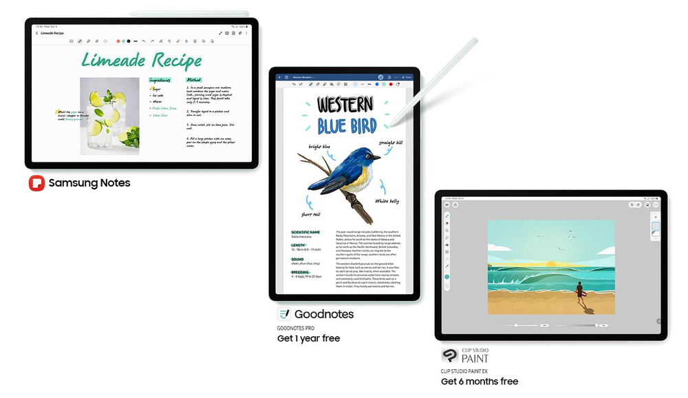 Elevate your creativity, optimised for the big screen