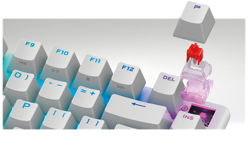 Hot-swappable switches