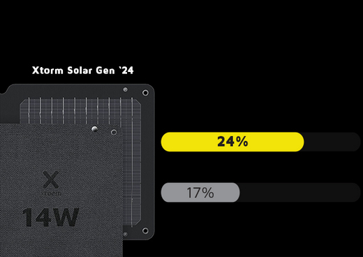 A 24% high return