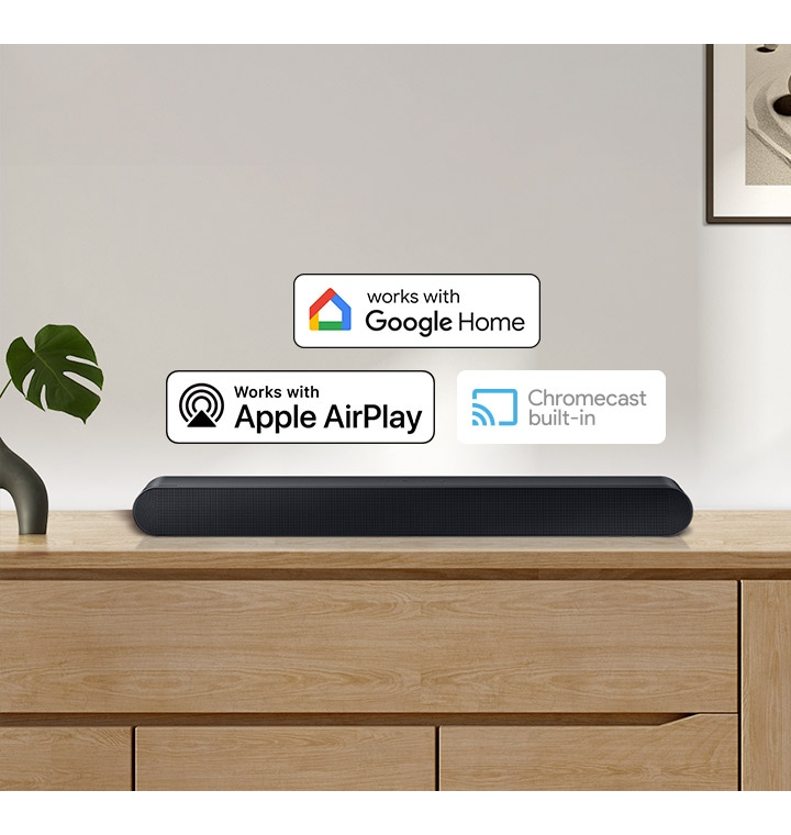 Voice Assistant & Streaming Features