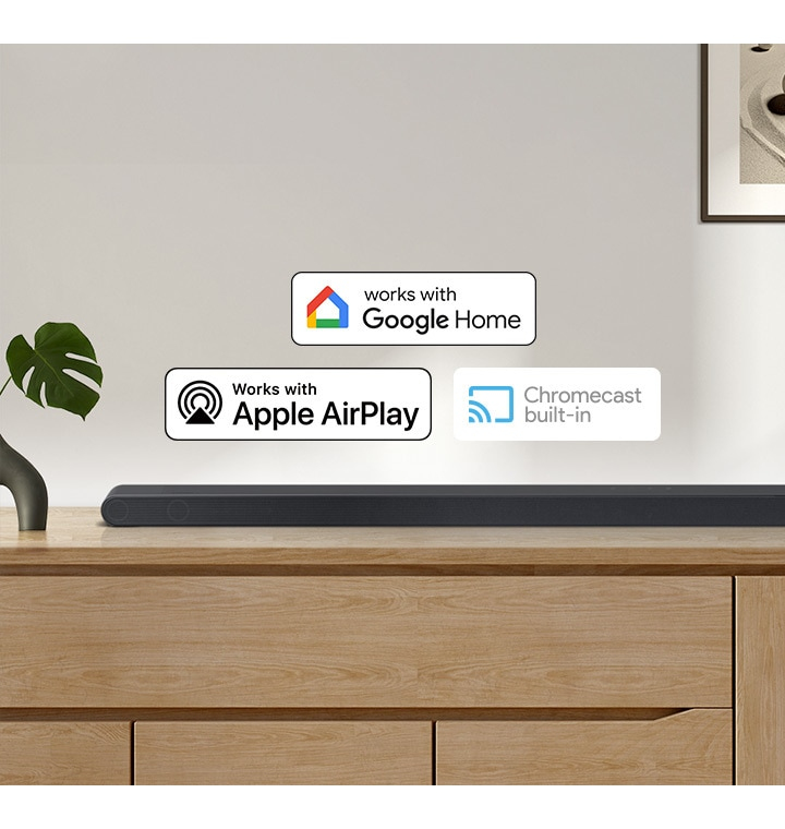 Voice Assistant & muziekstreaming