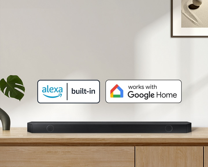 Voice Assistants