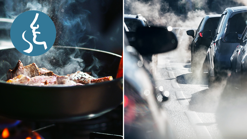 Fängt Gerüche und gasförmige Schadstoffe ein