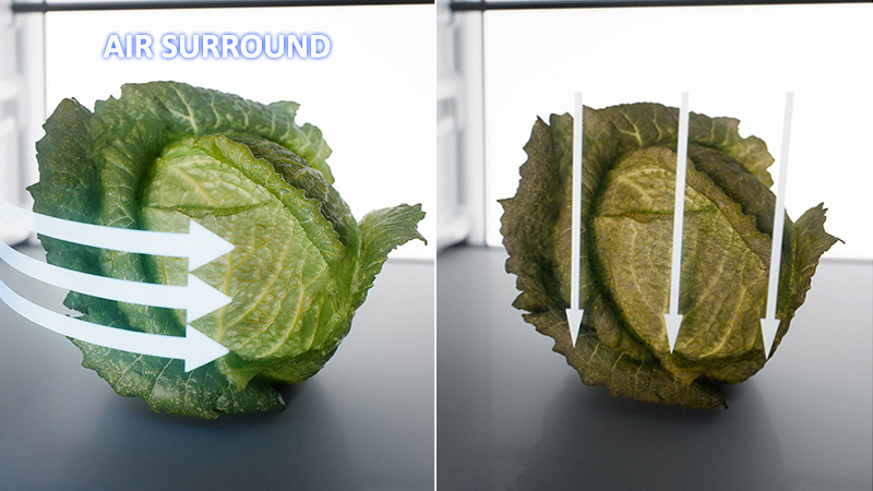 Air Surround - Fresher geht's nicht