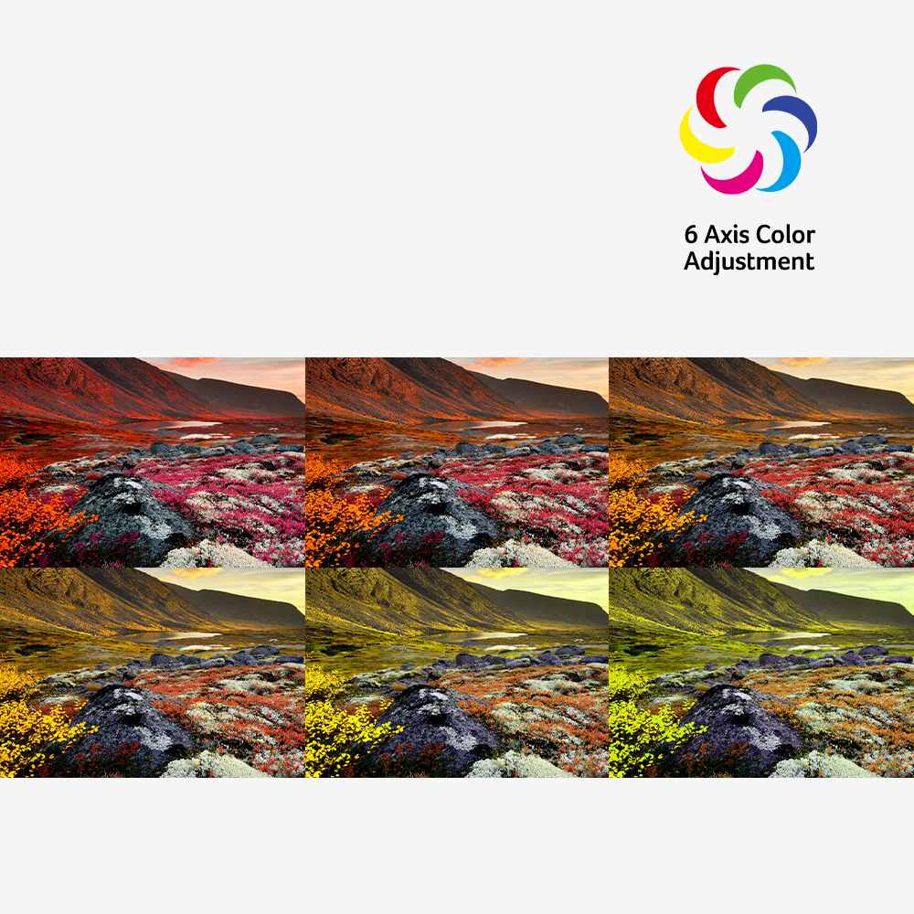 <b>A Wide Range of Colors</b>