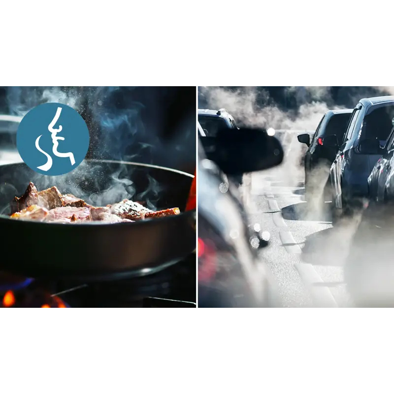 Fängt Gerüche und gasförmige Schadstoffe ein