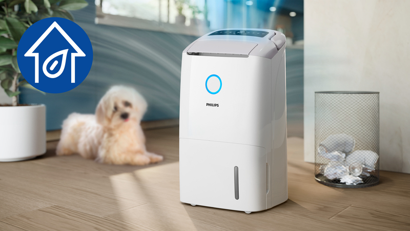 Modalità Solo purificatore per proteggere da agenti inquinanti e allergeni.