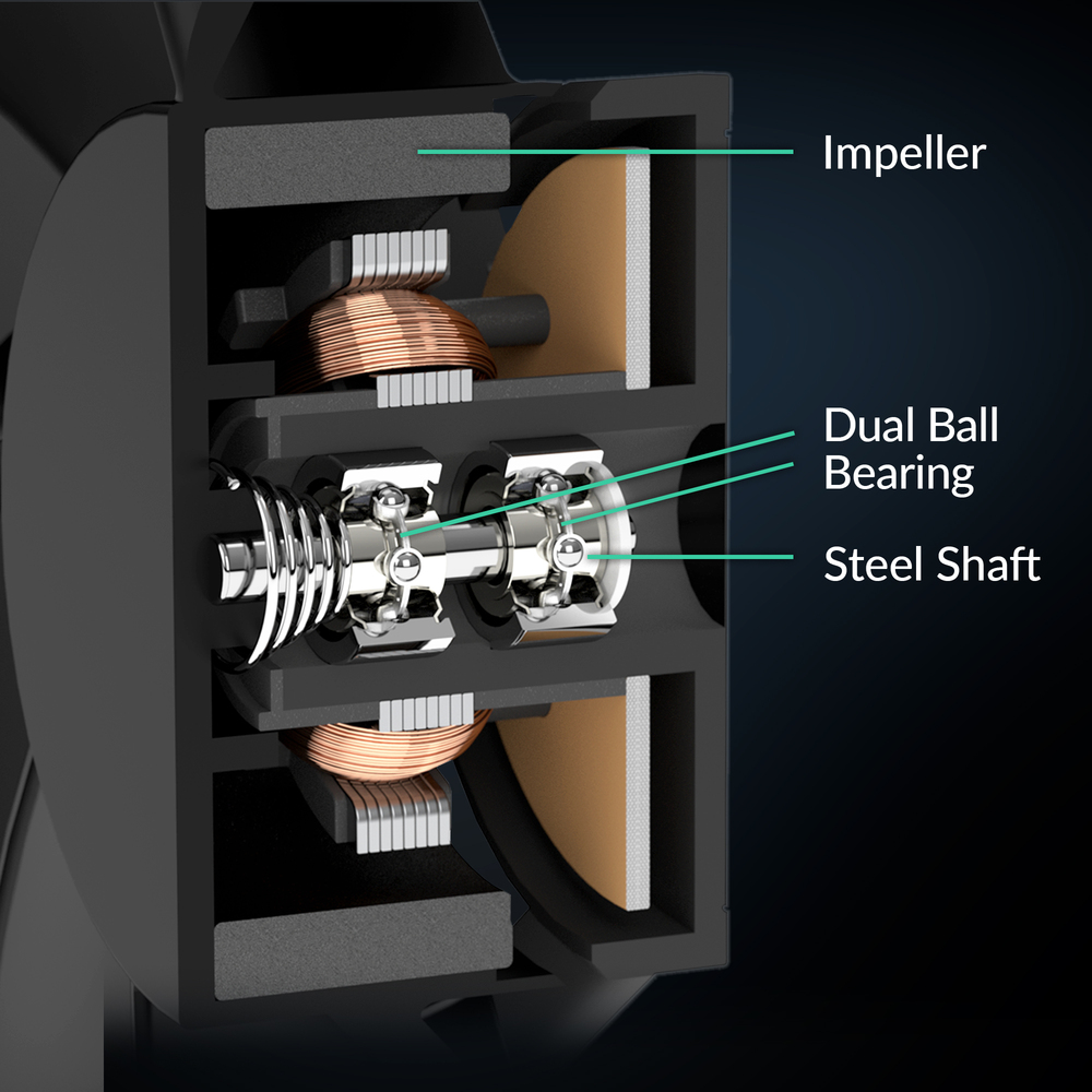 Dual Ball Bearing