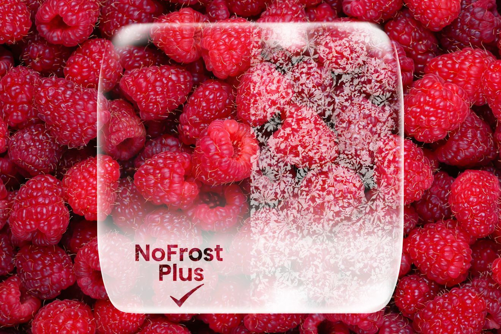 NoFrost Plus