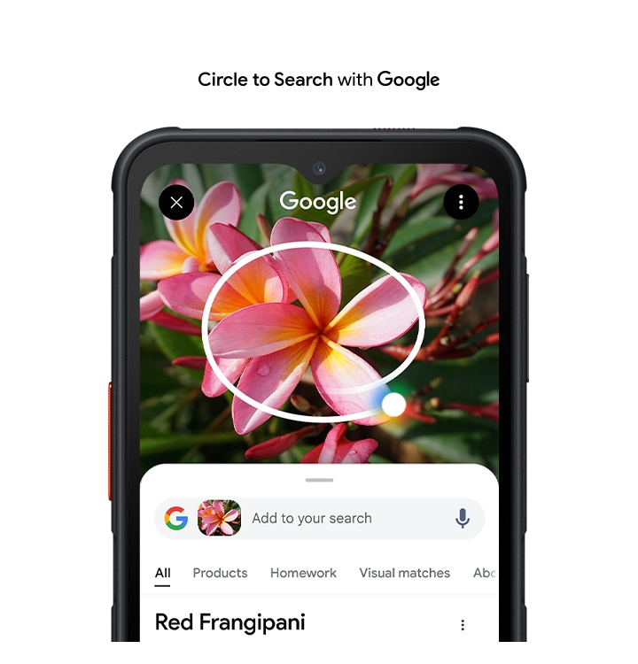 Circle it to find what you need instantly