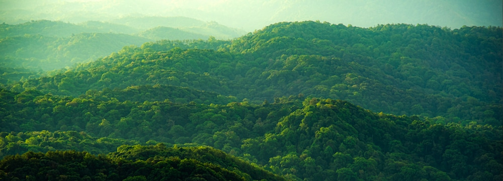 Zukunftsorientiertes Denken für die Umwelt