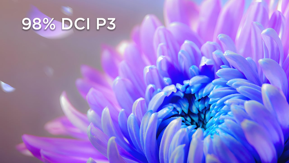 <p font-size:="36px">Clear Screen with Color Accuracy</p>