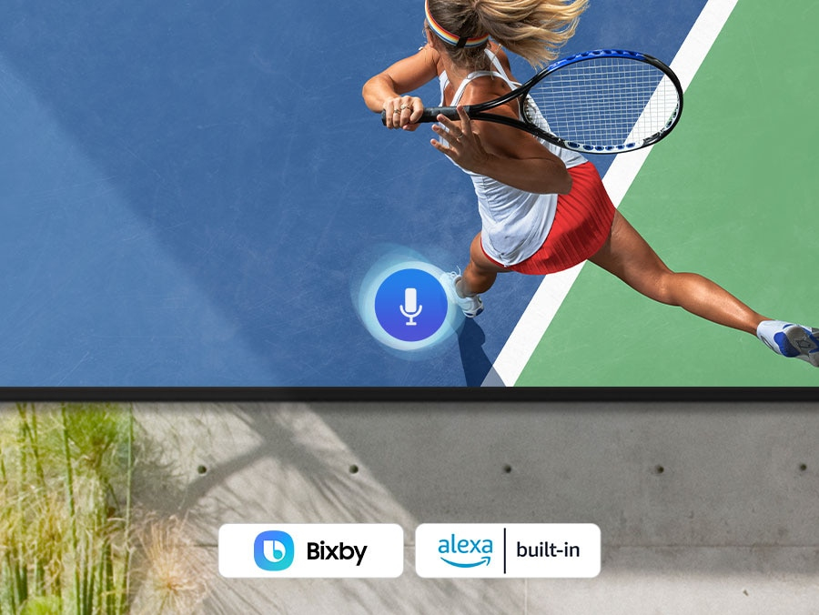 Multiple Voice Assistants