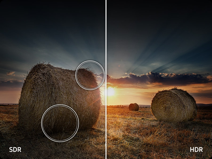 Gamma di contrasto più ampia per immagini di qualità cinematografica