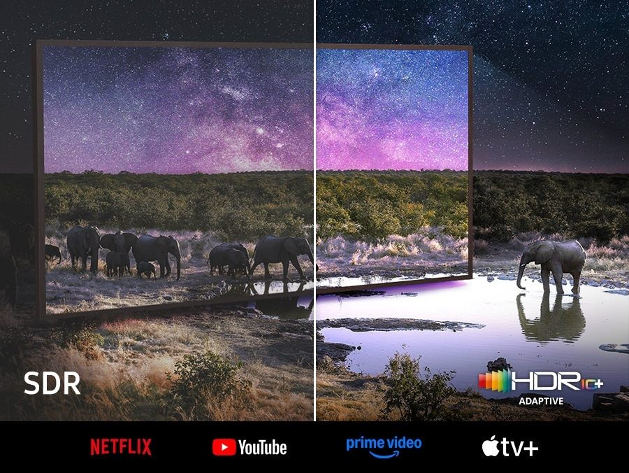 Migliora la visione in 4K con colori più ricchi e dettagli più sfumati