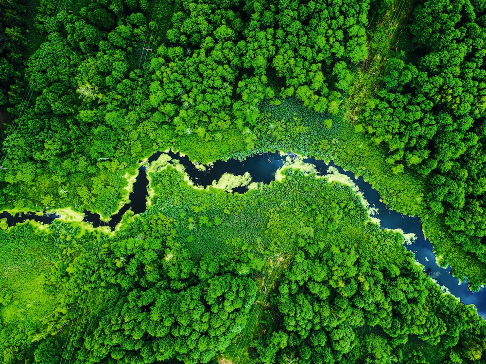Weil uns die Umwelt am Herzen liegt