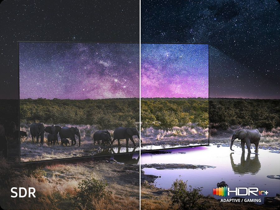 Witness exceptional detail with bright colours and bold contrast