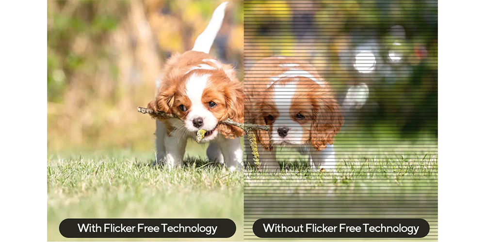 Flicker Free