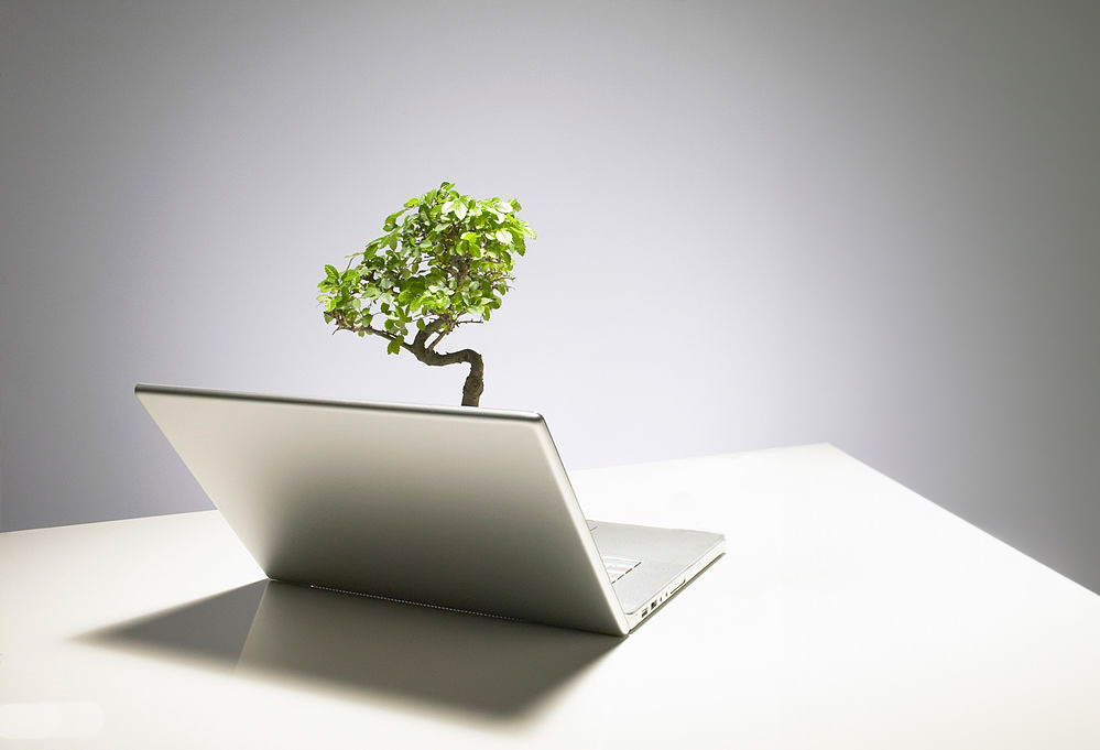 Sustainability you can trust