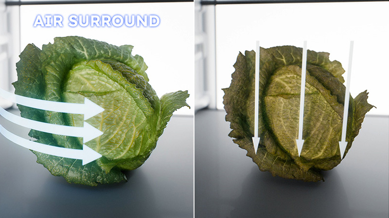 Air Surround - Fresher geht's nicht