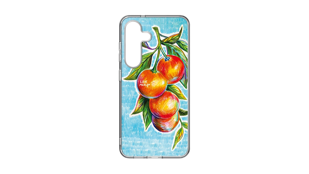 S25 Hybrid Case