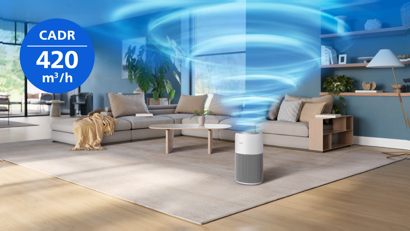 Purificazione accurata di stanze fino a 109°m2