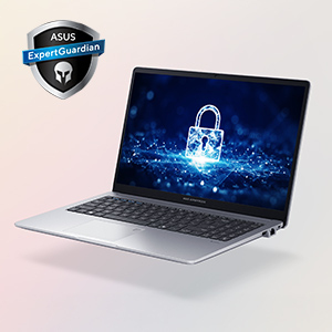 Business-grade security