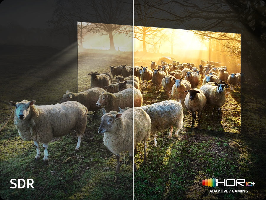 Colori e contrasto più realistici per immagini in 8K