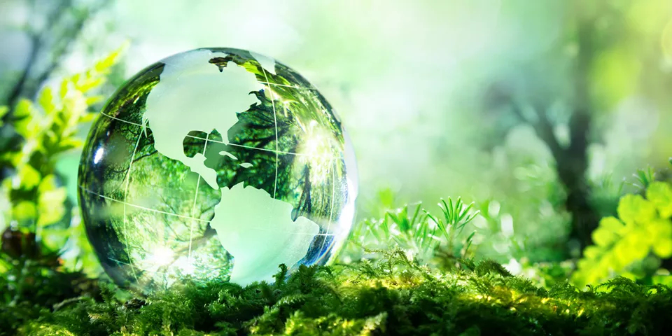 Toner Cartridge Recycling and Sustainability