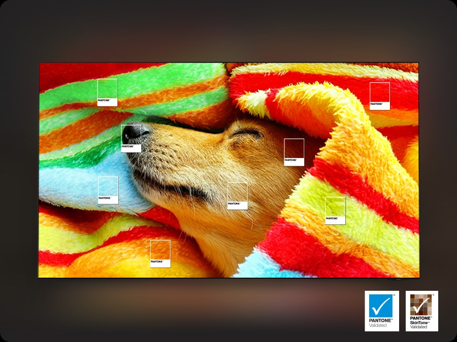 Hohe Farbtreue dank Pantone-zertifizierter Farben
