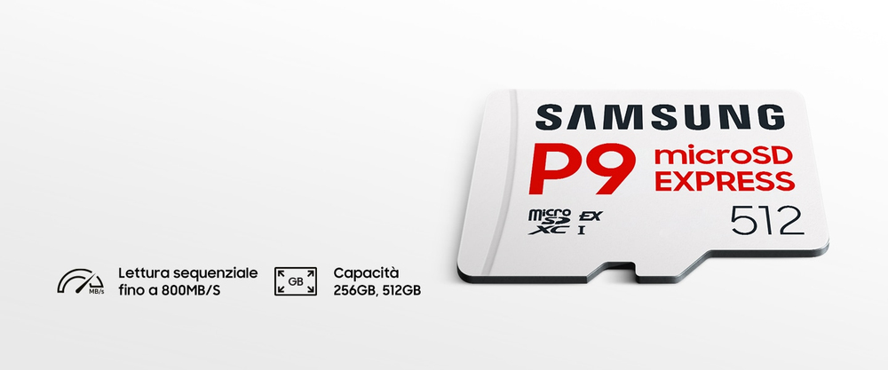 Scheda microSD P9 Express