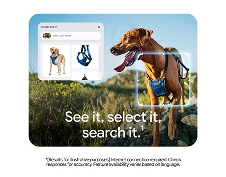 Product Gallery
