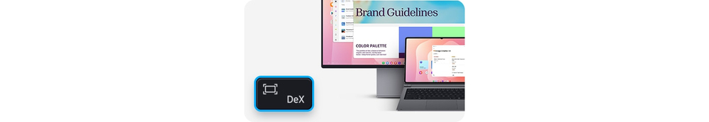 DeX Mode