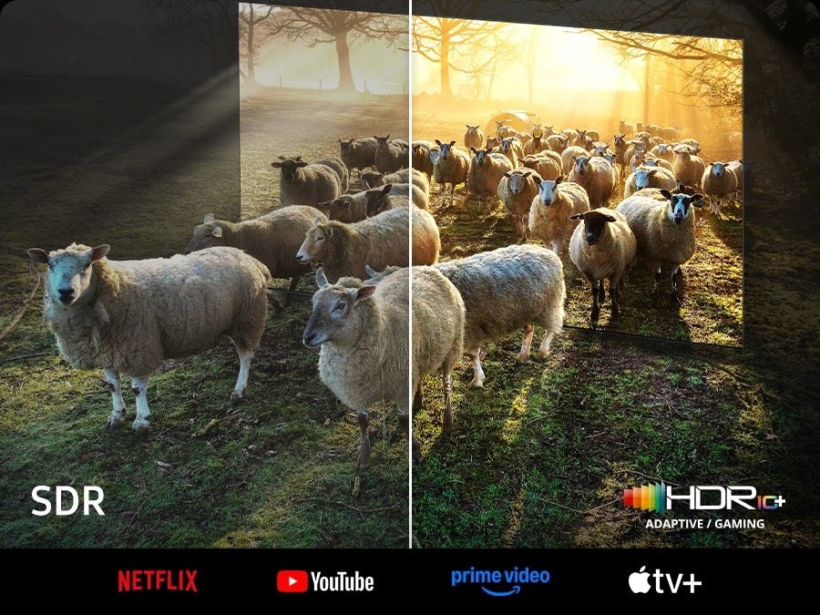 Colori e contrasto realistici per uno schermo 8K