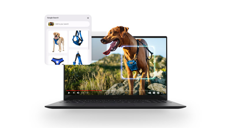 Product Gallery