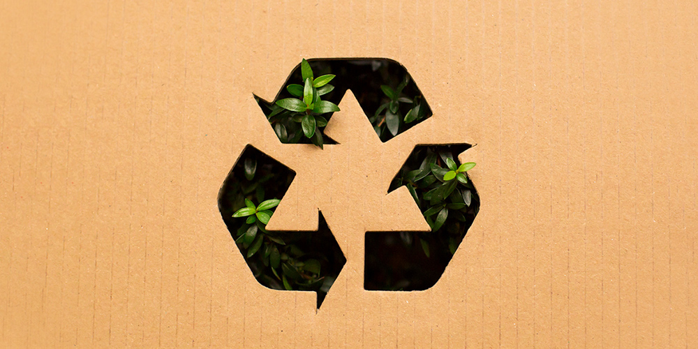 100% Recyclable Packaging