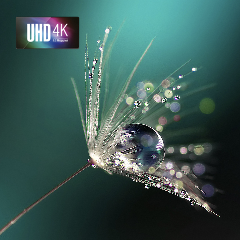 4K UHD Resolution