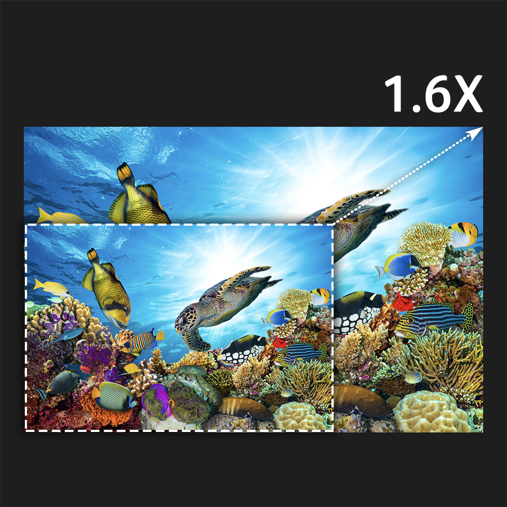 1.6x Zoom Ratio