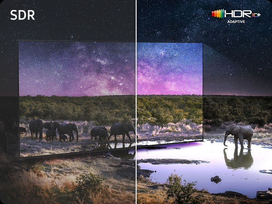 Erlebe 4K mit intensiven Farben und feinen Details