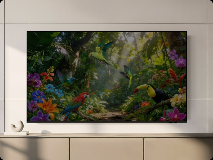 Experience your favourite shows with enhanced colour