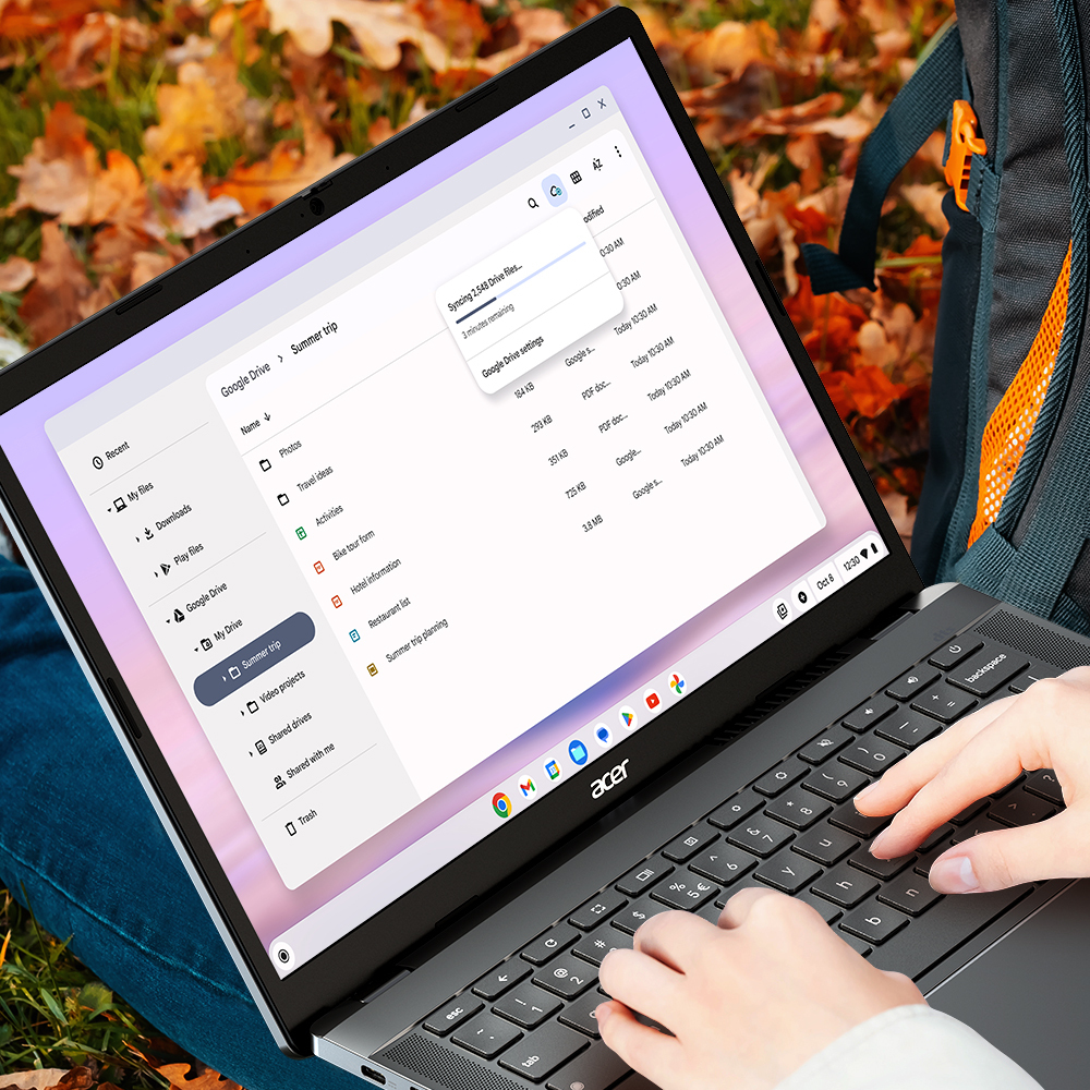 Access your files, online or off